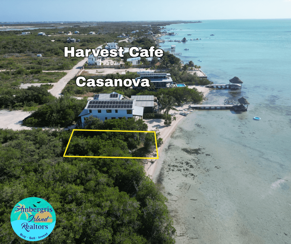 Beach front for sale in Belize secret beach 2