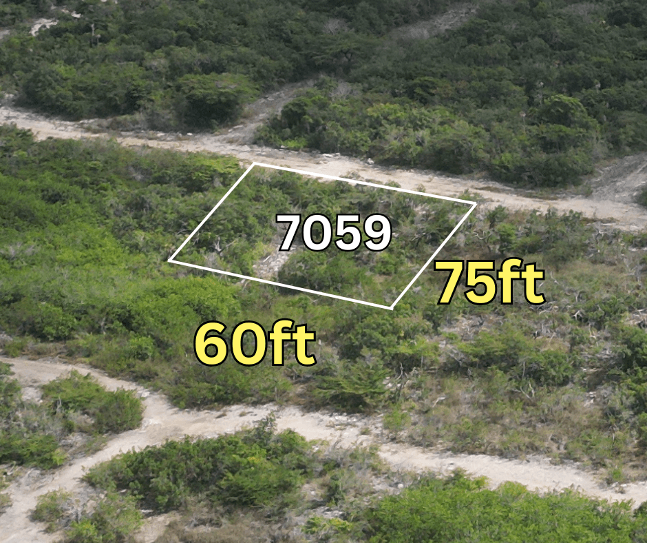 GRAND BELIZEAN ESTATE LOT 7059 2
