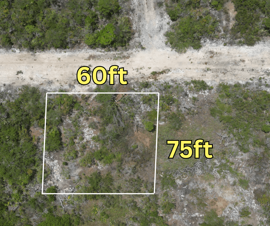 GRAND BELIZEAN ESTATE LOT 7059