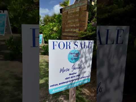 SECRET BEACH OFFICE #belizeproperty #realestate #investment #secretbeachbelize #belizerealestate
