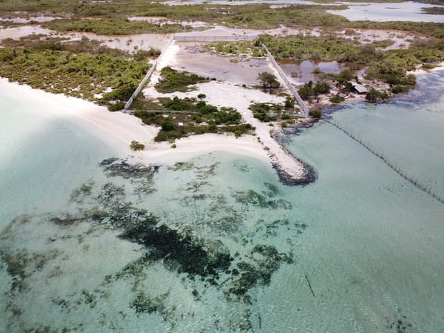 Beachfront